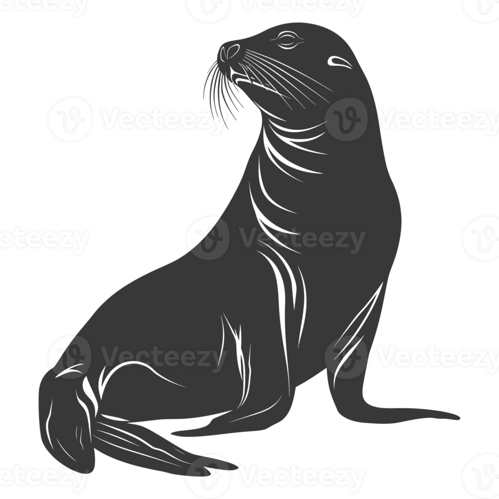 AI generated Silhouette Sea Lion Animal black color only full body png