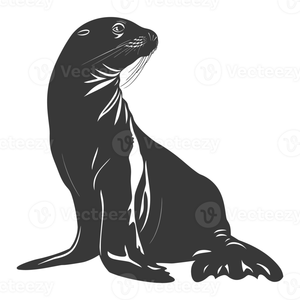AI generated Silhouette Sea Lion Animal black color only full body png
