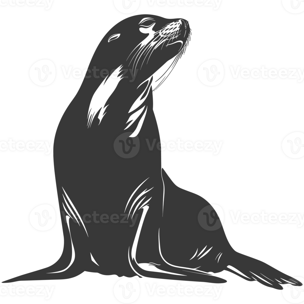 AI generated Silhouette Sea Lion Animal black color only full body png