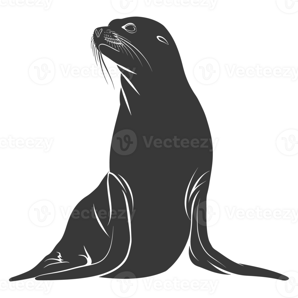 AI generated Silhouette Sea Lion Animal black color only full body png