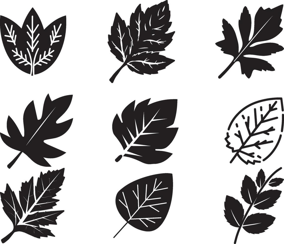 Black Leaf set of vector isolated from the background. Leaf icon different shape in modern flat style