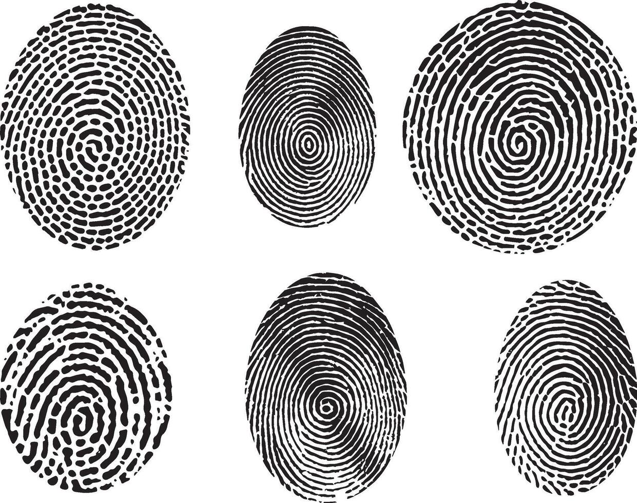 Set of Vector black isolated fingerprint on white background