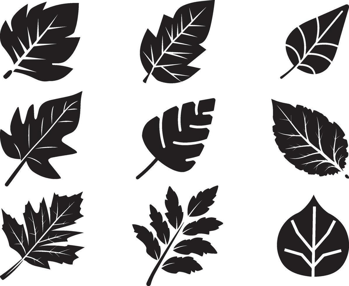 Black Leaf set of vector isolated from the background. Leaf icon different shape in modern flat style