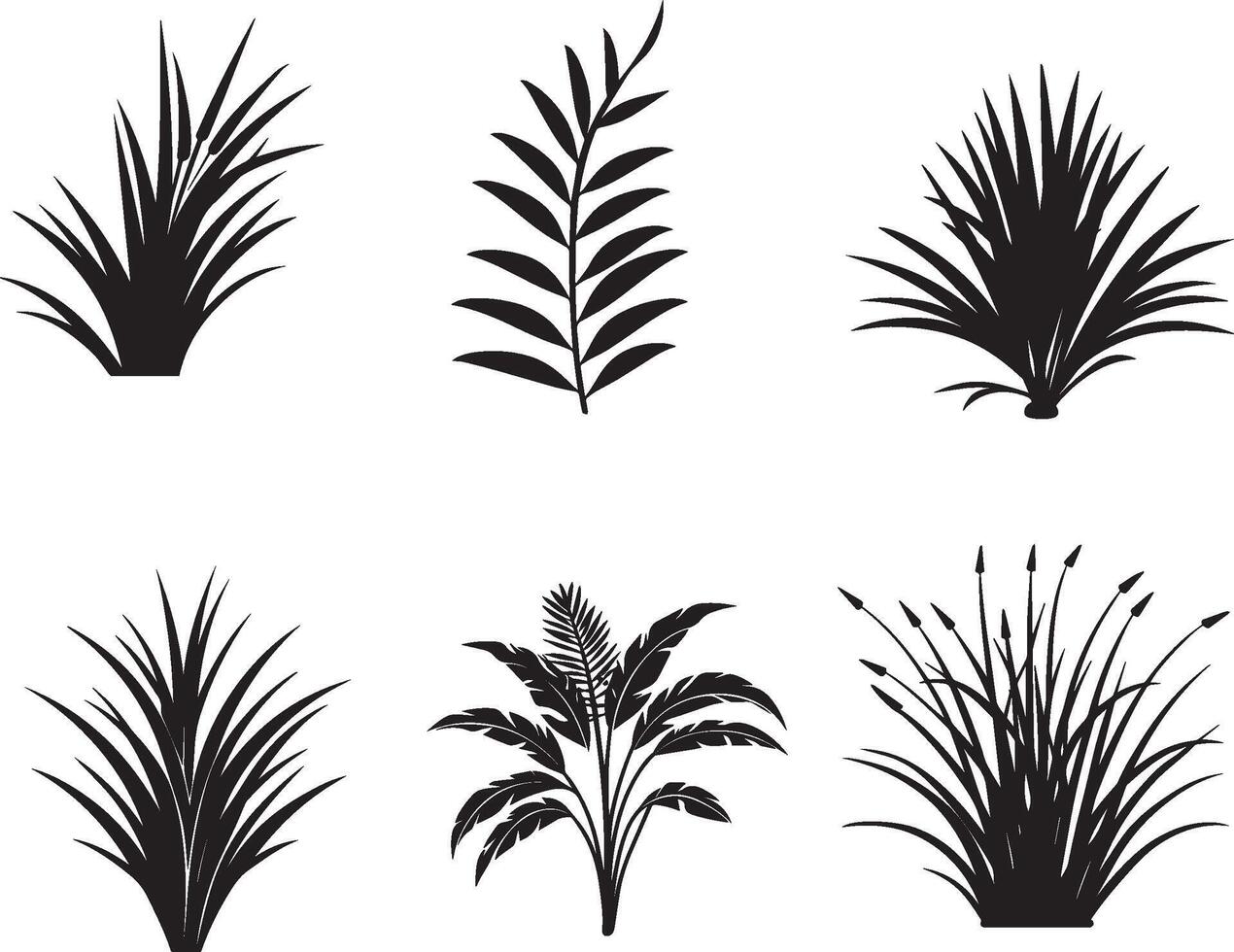 conjunto de tropical planta y césped en silueta vector. en aislado blanco antecedentes vector