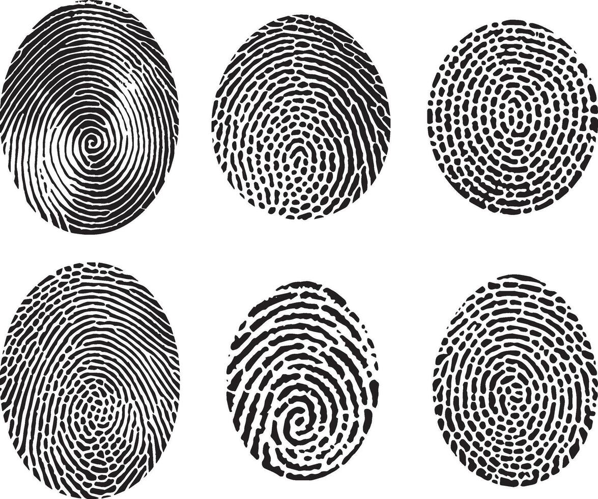 Set of Vector black isolated fingerprint on white background