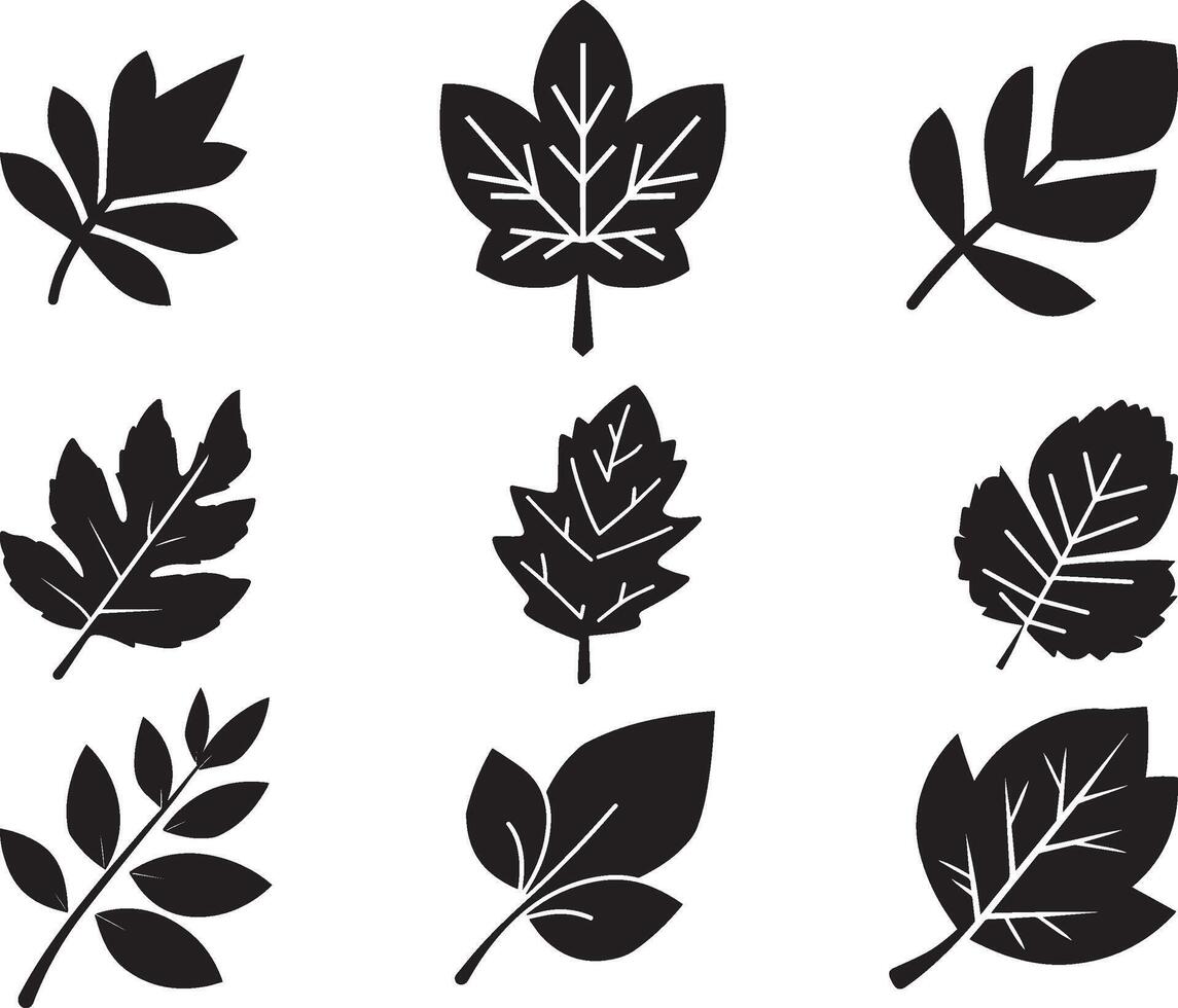 Black Leaf set of vector isolated from the background. Leaf icon different shape in modern flat style