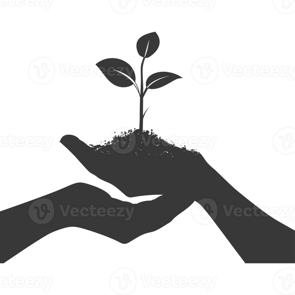 AI generated Silhouette Two Hand holding soil with growing sprout black color only png