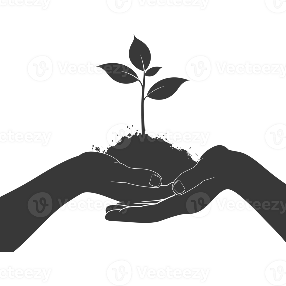 ai gegenereerd silhouet twee hand- Holding bodem met groeit spruit zwart kleur enkel en alleen png