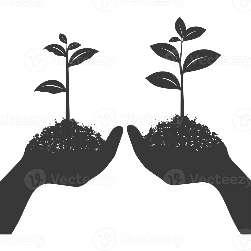 AI generated Silhouette Two Hand holding soil with growing sprout black color only png