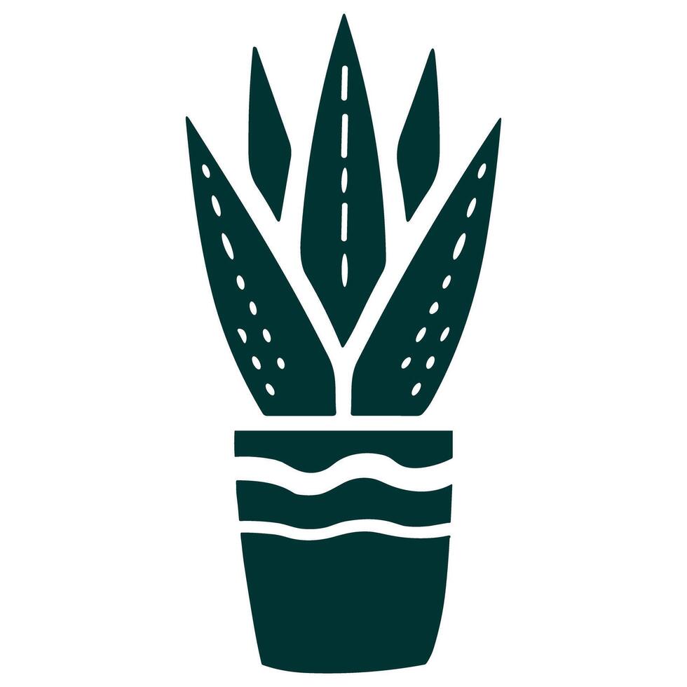 Sansivera Plants vector