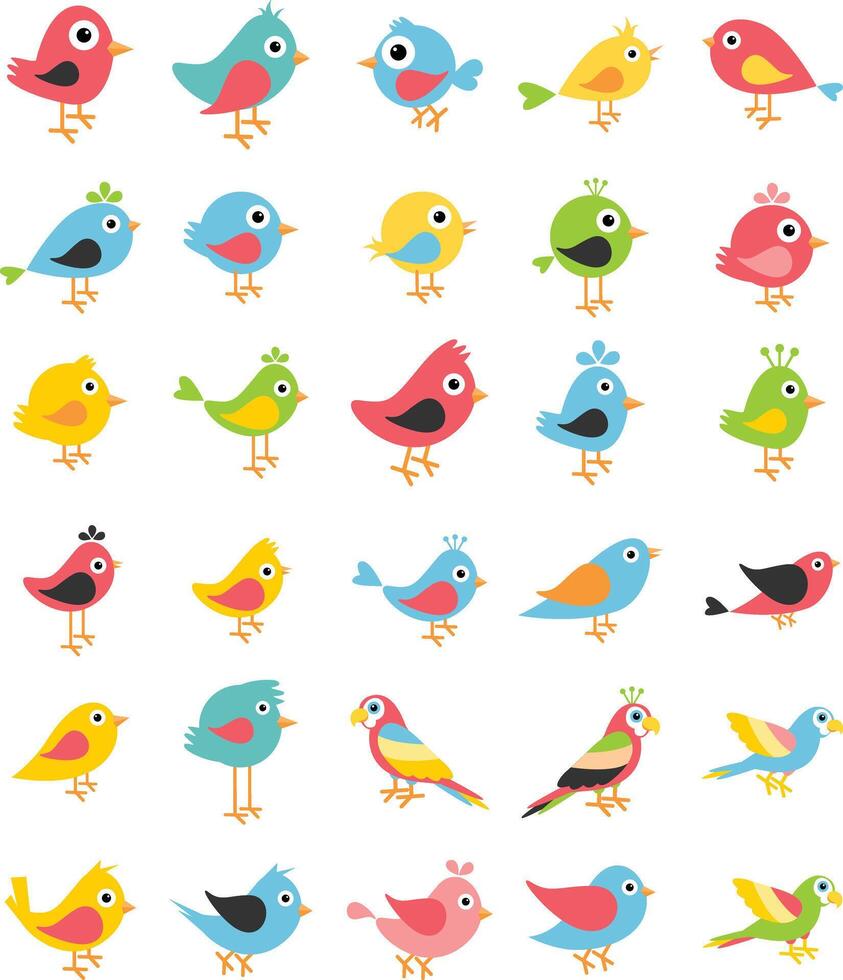 dibujos animados aves vector