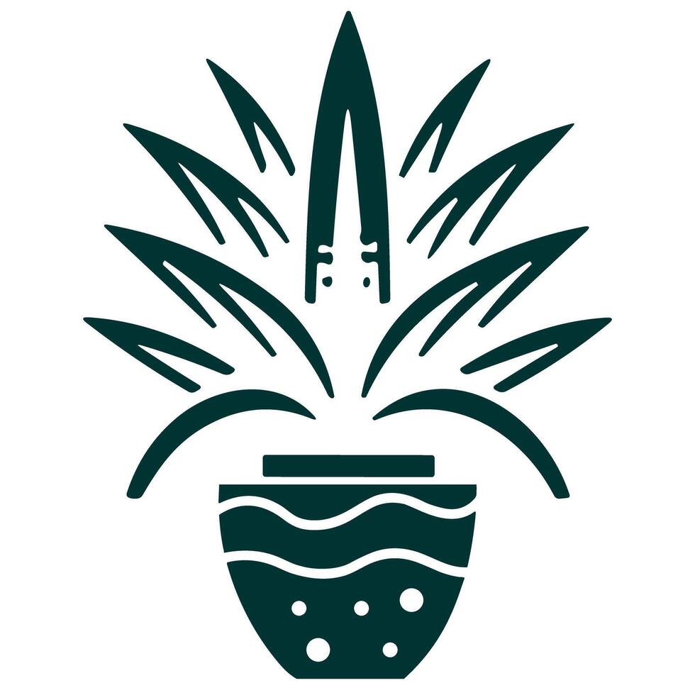 Sansivera Plants vector