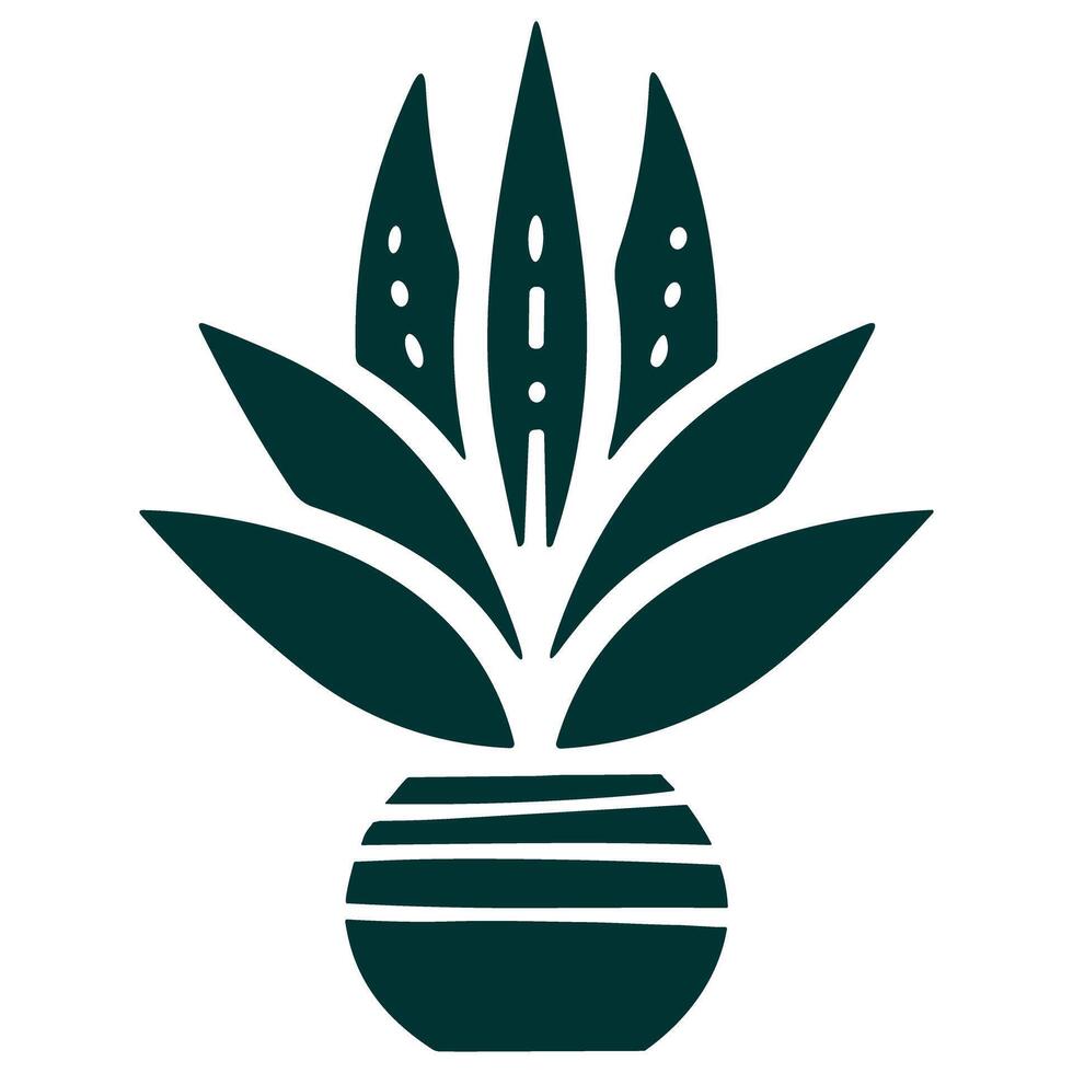 Sansivera Plants vector