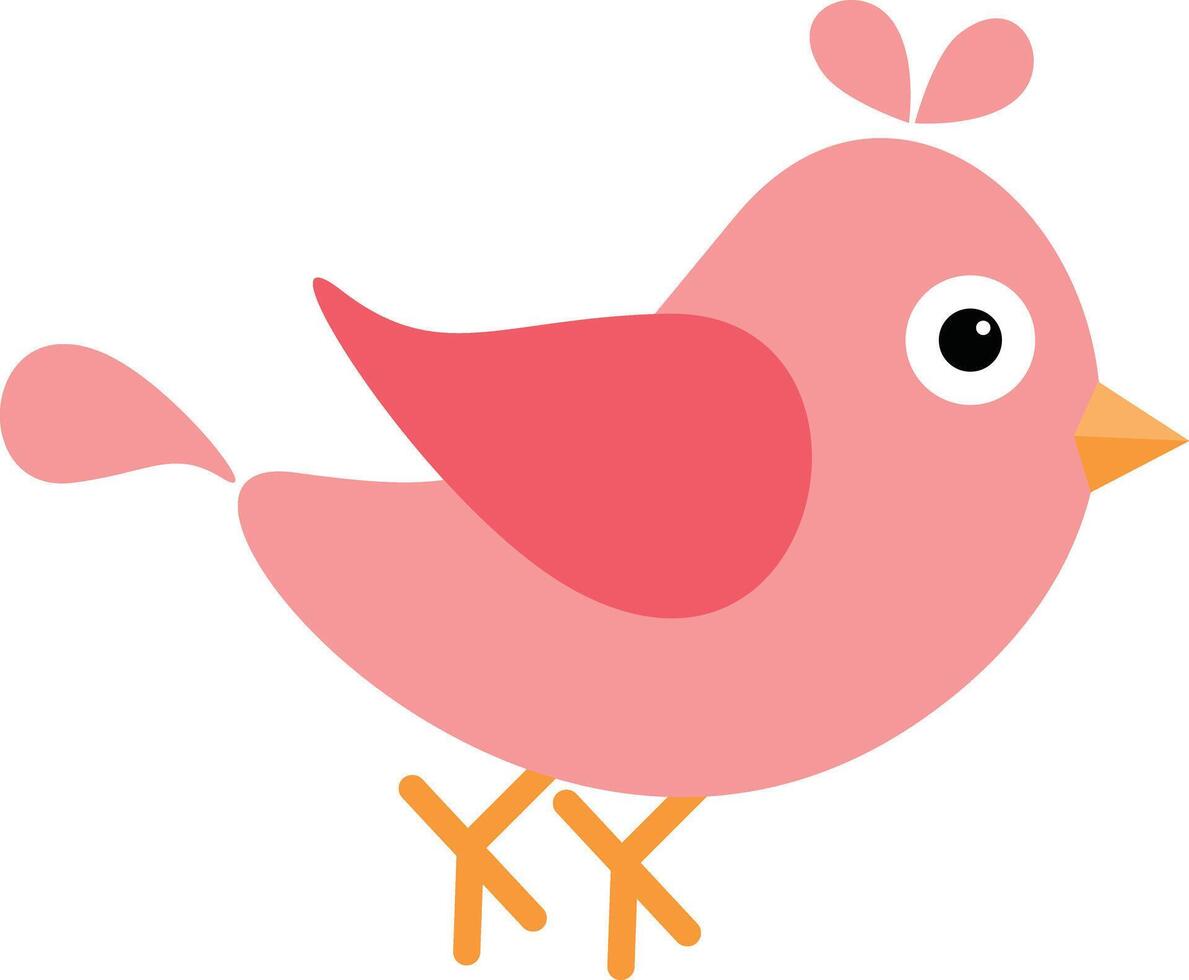 cartoon bird vector