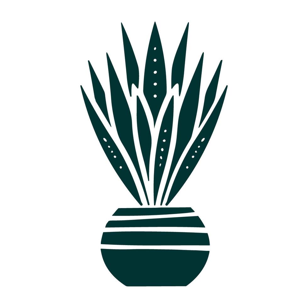 Sansivera Plants vector