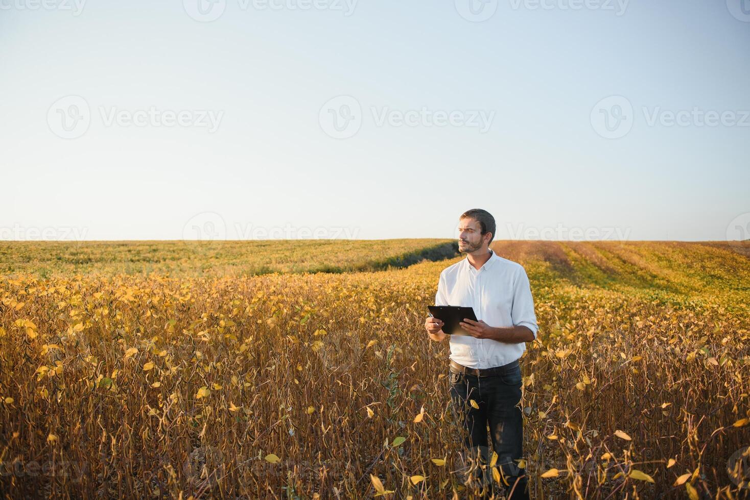 Agronomist inspects soybean crop in agricultural field - Agro concept - farmer in soybean plantation on farm. photo