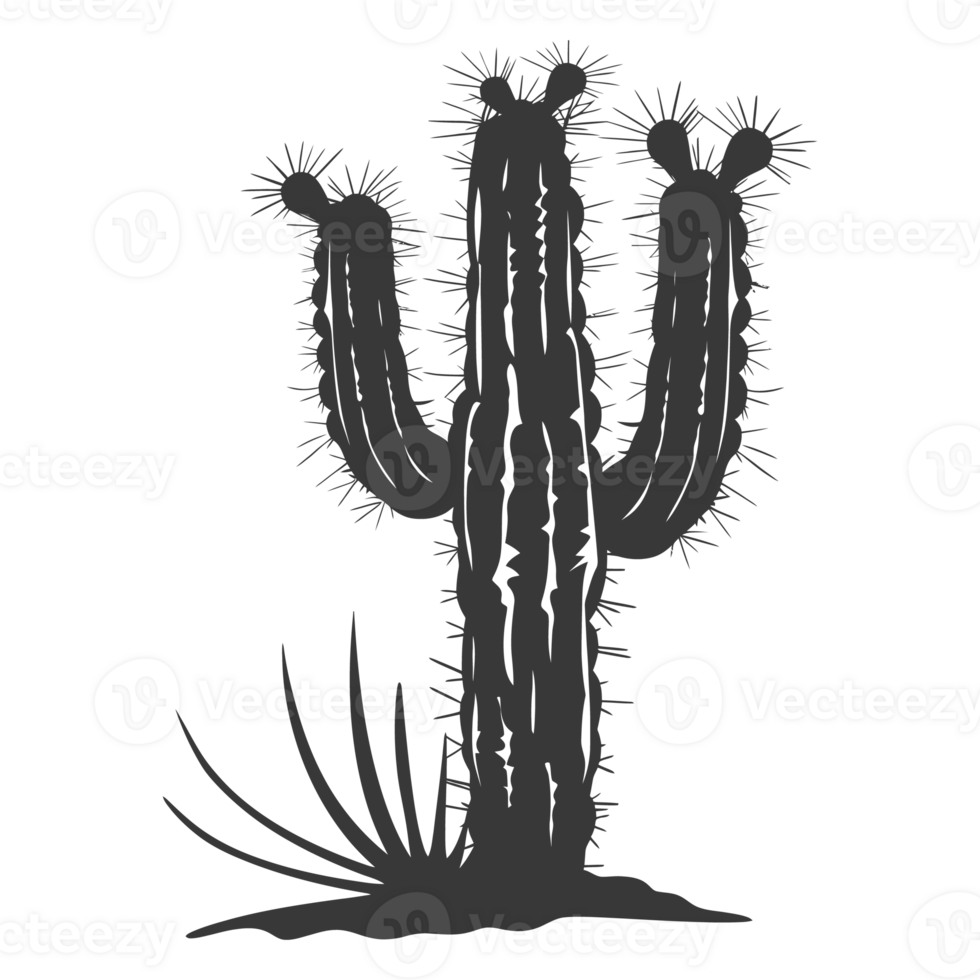 AI generated Silhouette cactus plant black color only png