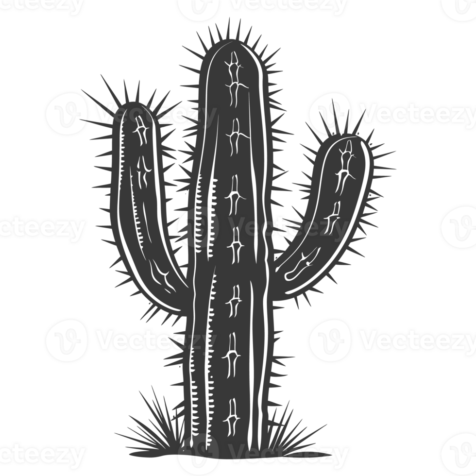 AI generated Silhouette cactus plant black color only png