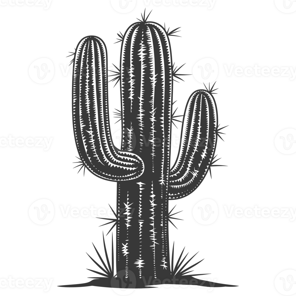 AI generated Silhouette cactus plant black color only png