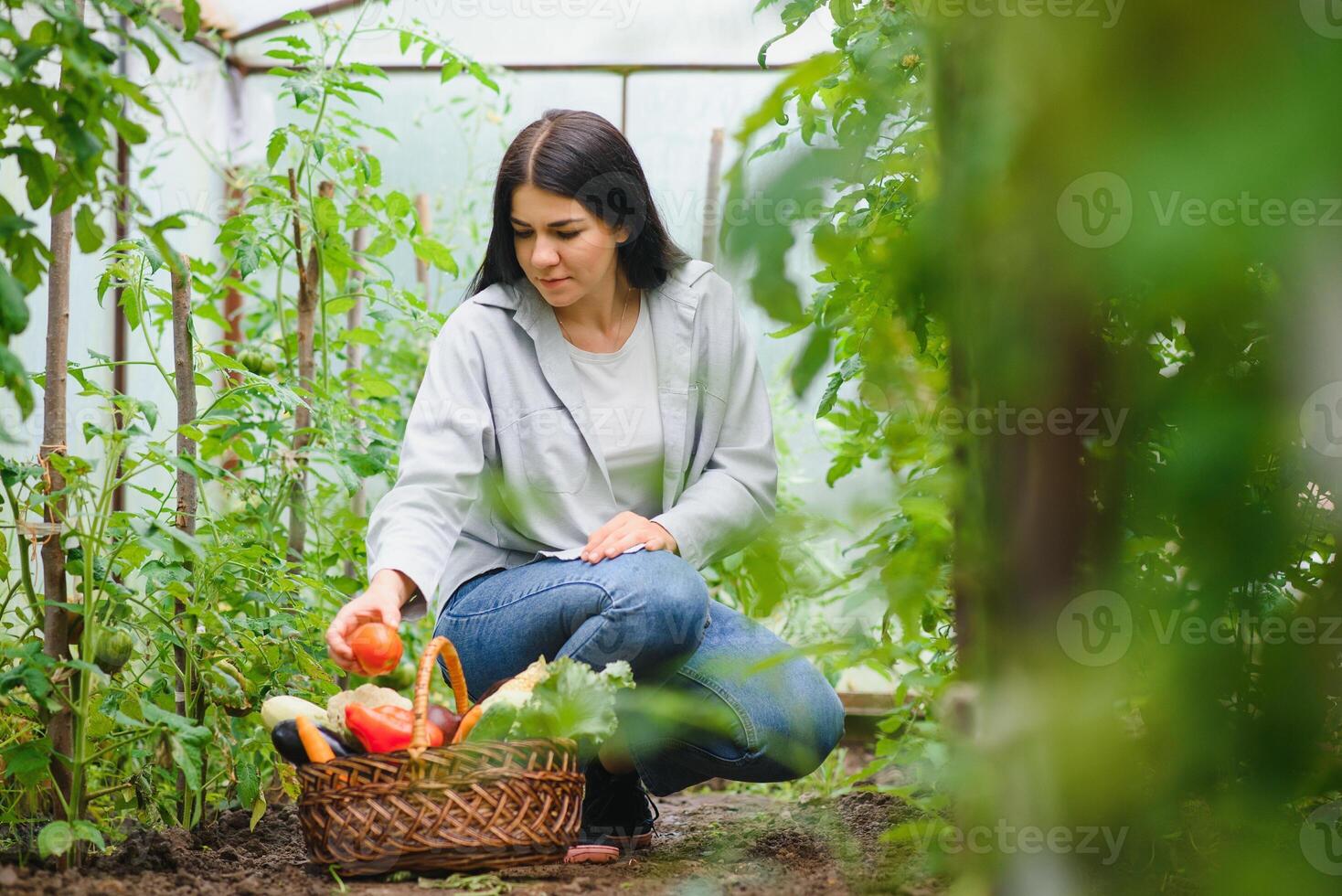 joven granjero mujer participación Fresco orgánico vegetal con cesta a invernadero hidropónico orgánico granja. propietario pequeño negocio empresario orgánico vegetal granja y sano comida concepto foto