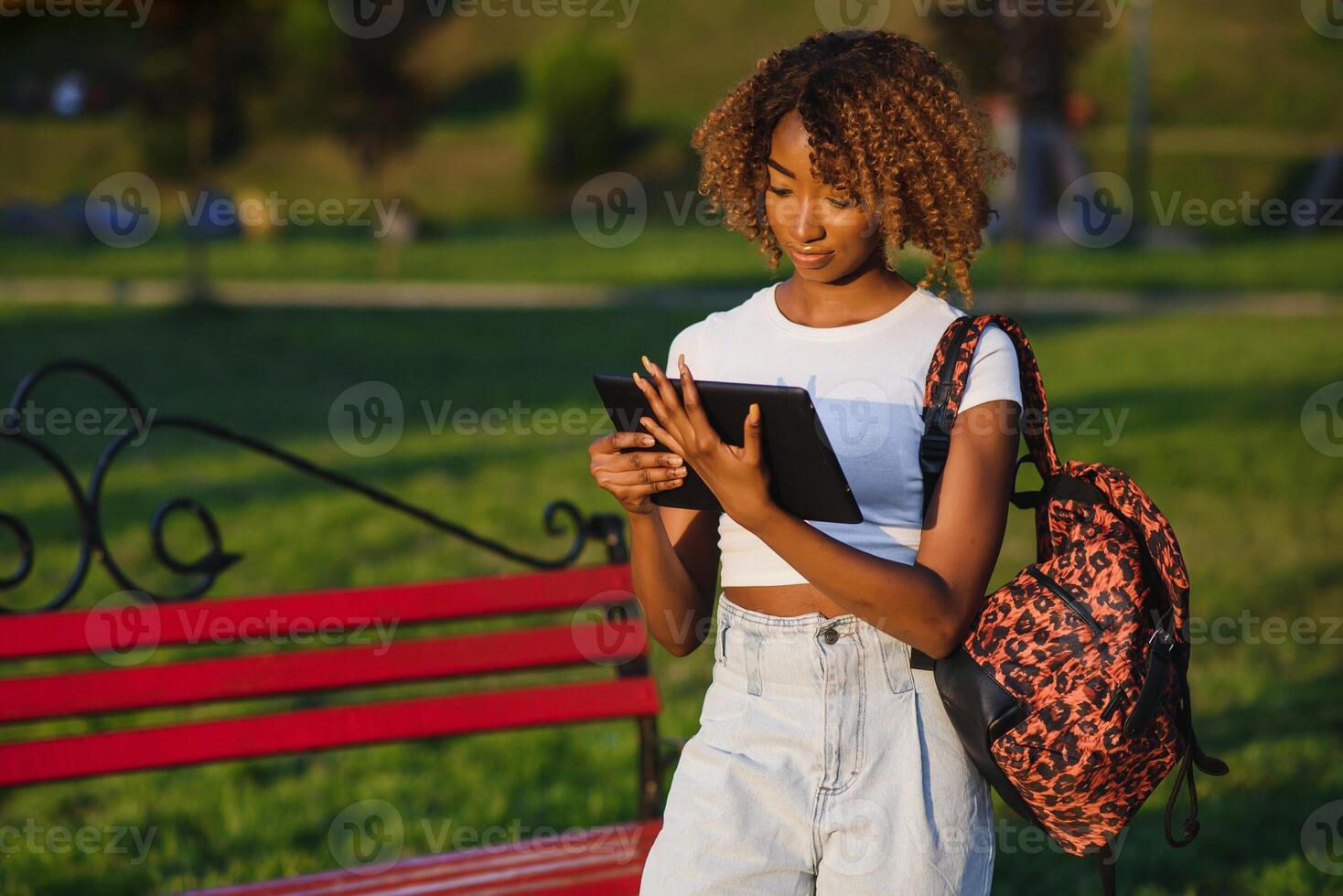 en línea comunicación, educación o trabajo concepto. bonito africano americano dama con tableta computadora a parque foto