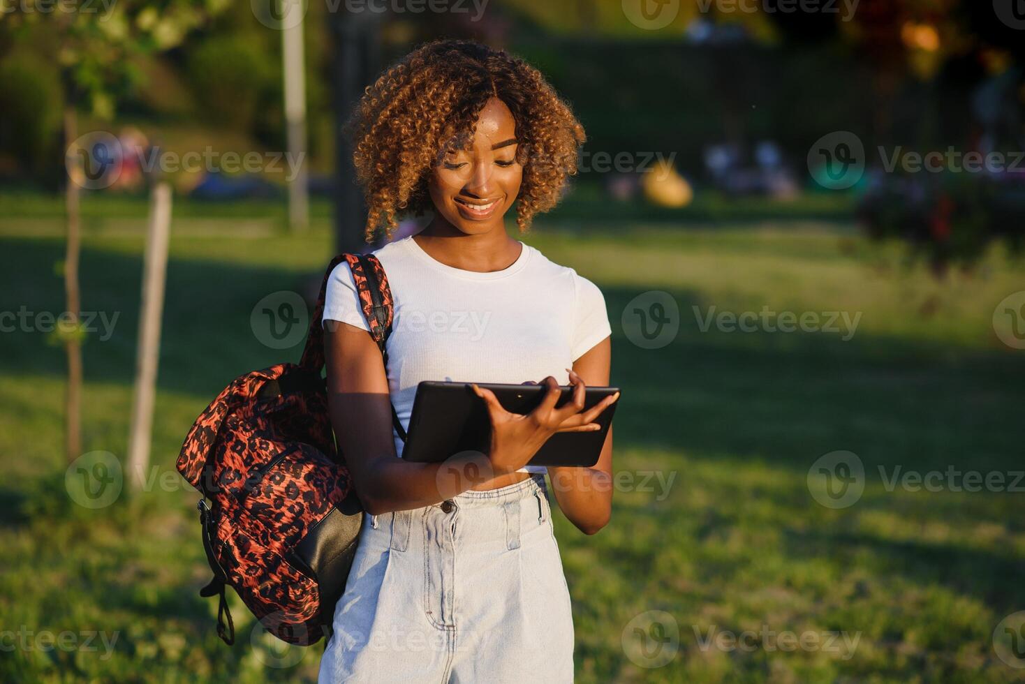 en línea comunicación, educación o trabajo concepto. bonito africano americano dama con tableta computadora a parque foto