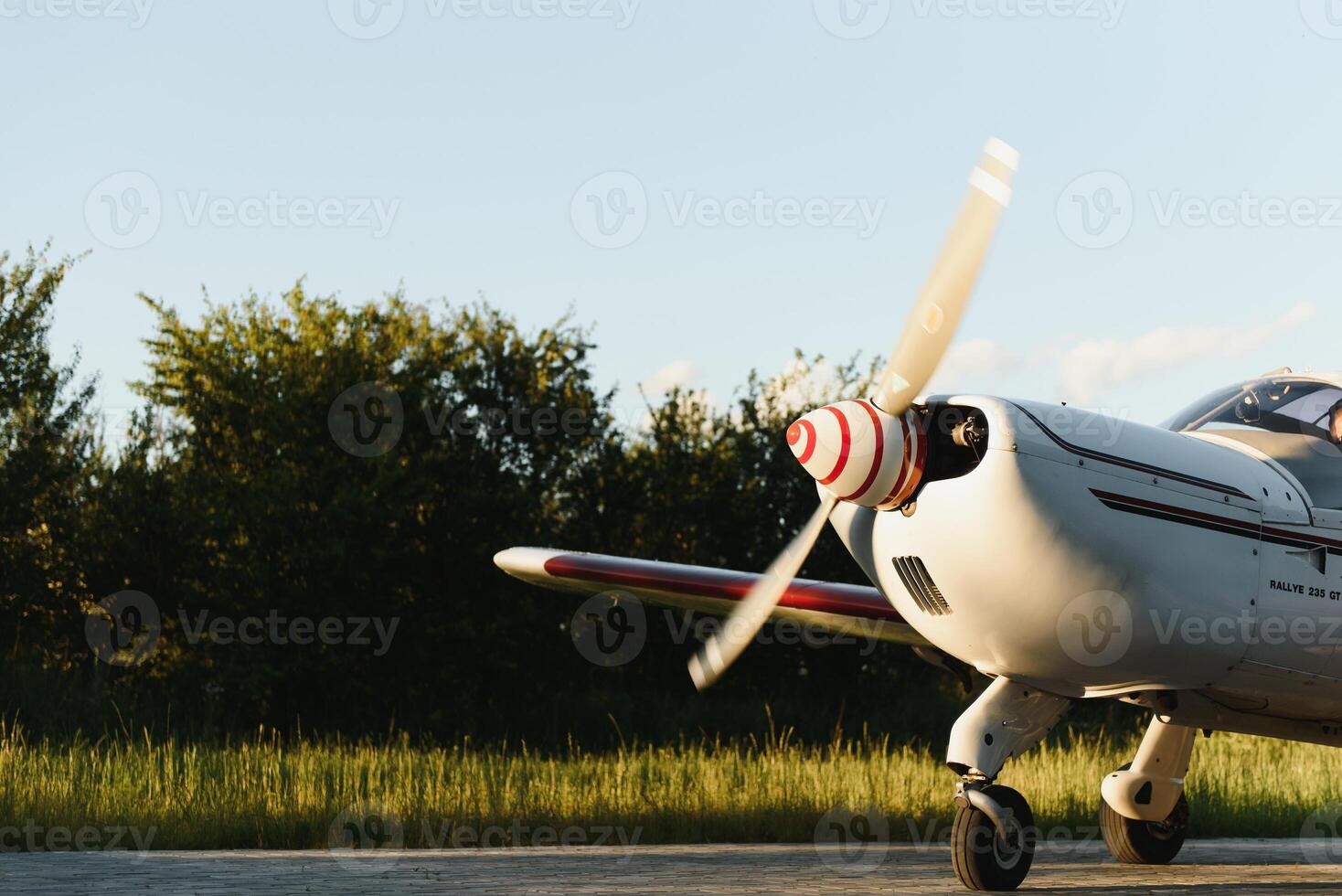 Couple in love having fun near private plane. photo