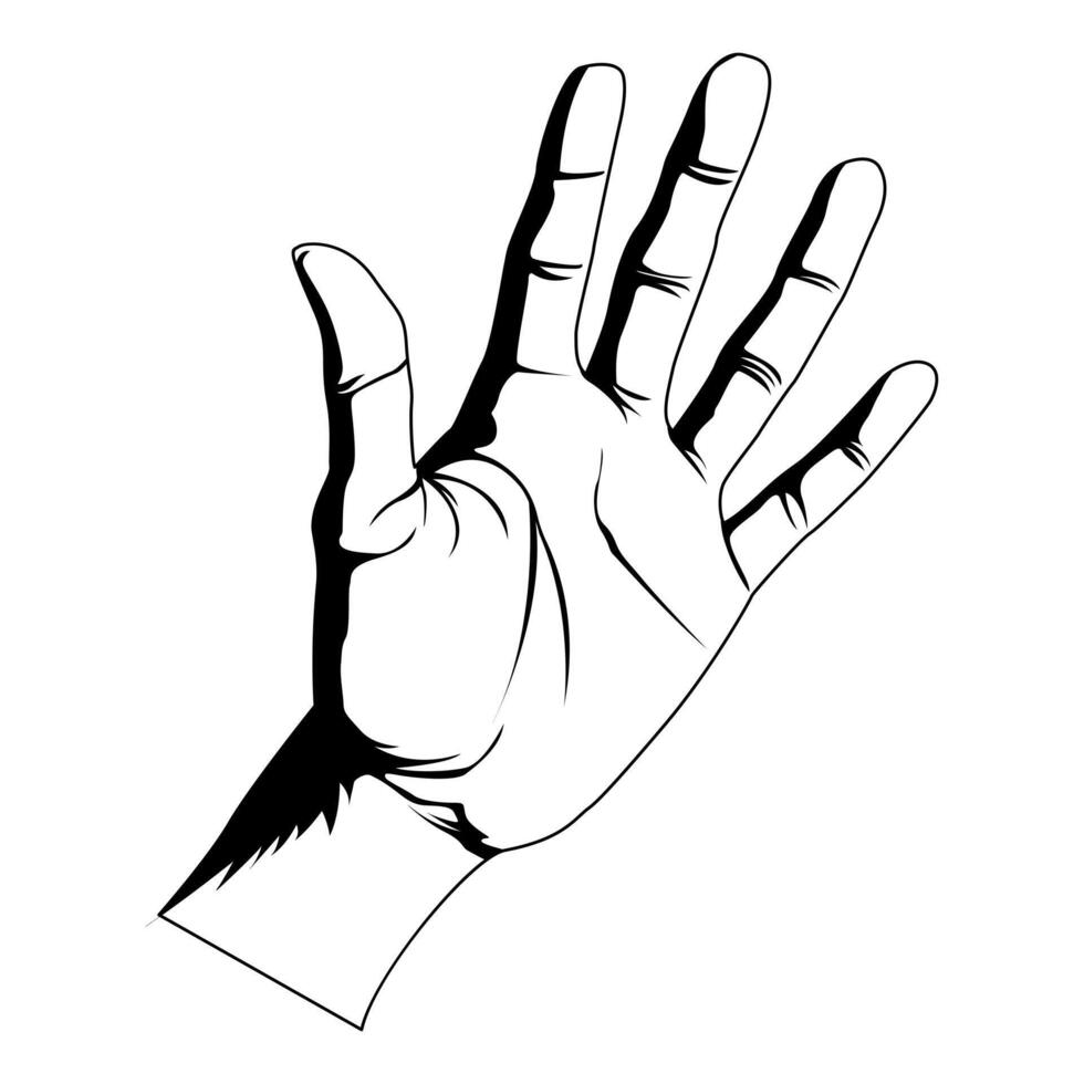 Realistic hand. Black and white hand. Painting with strokes. Fingers, skin, folds, shadows. Human palm. Vector illustration