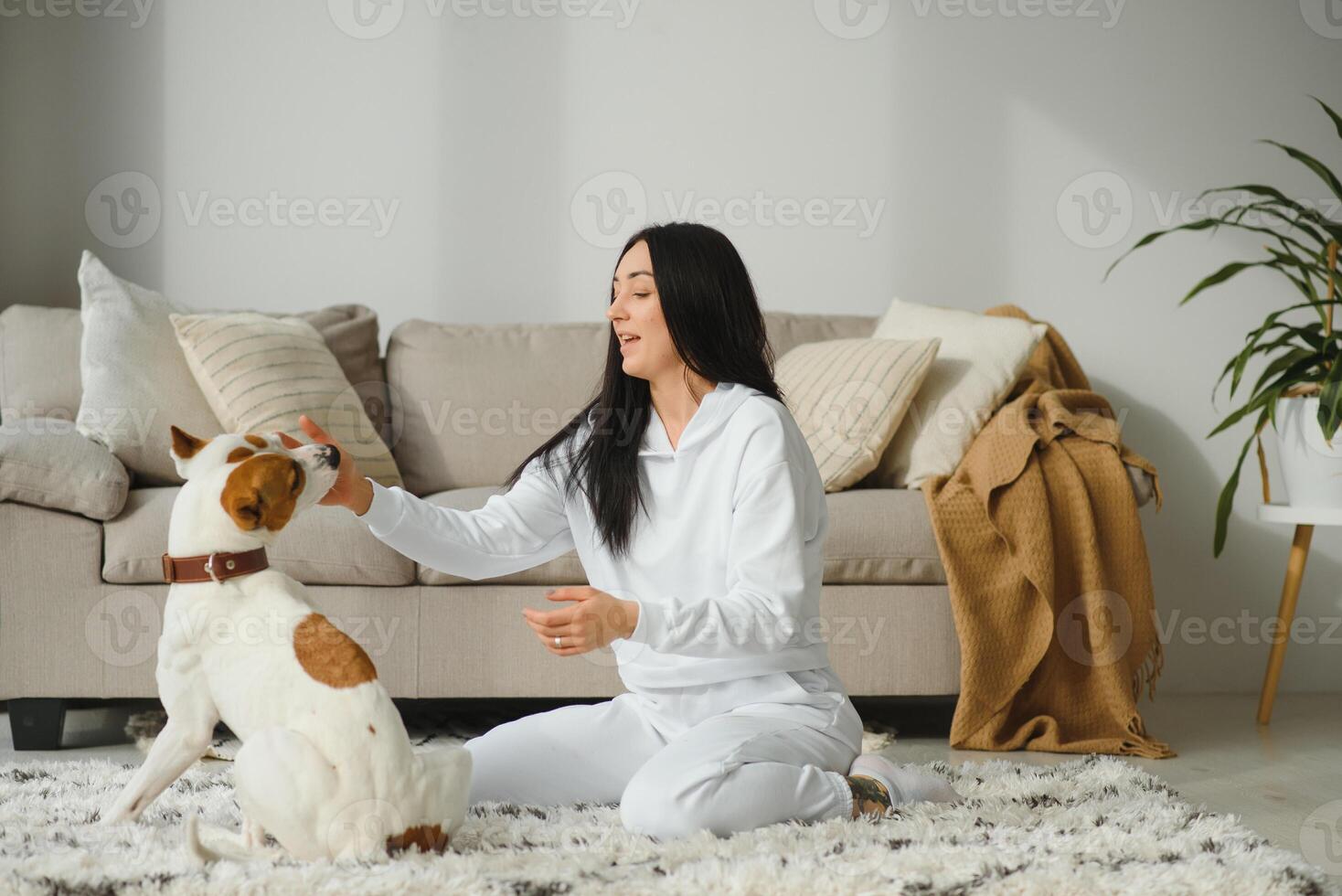 Beautiful young girl playing with a nice cute dog. photo