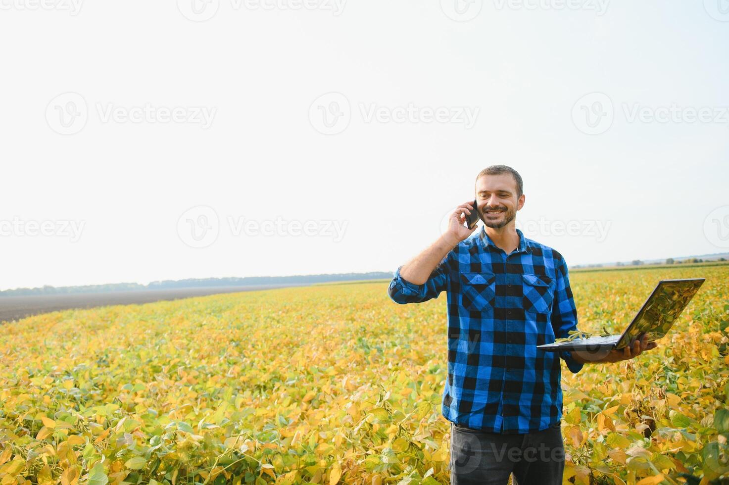 A farmer agronomist inspects soybeans growing in a field. Agriculture photo