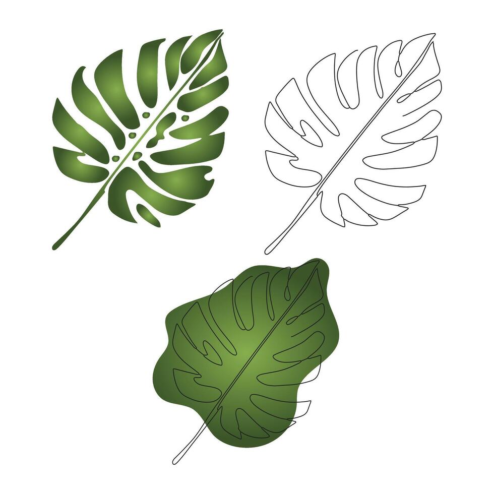 Hand drawn leaves vector illustration