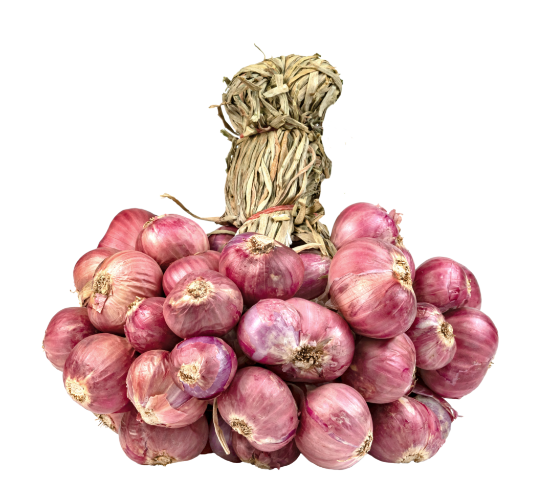 shallots onion isolated 40747114 PNG