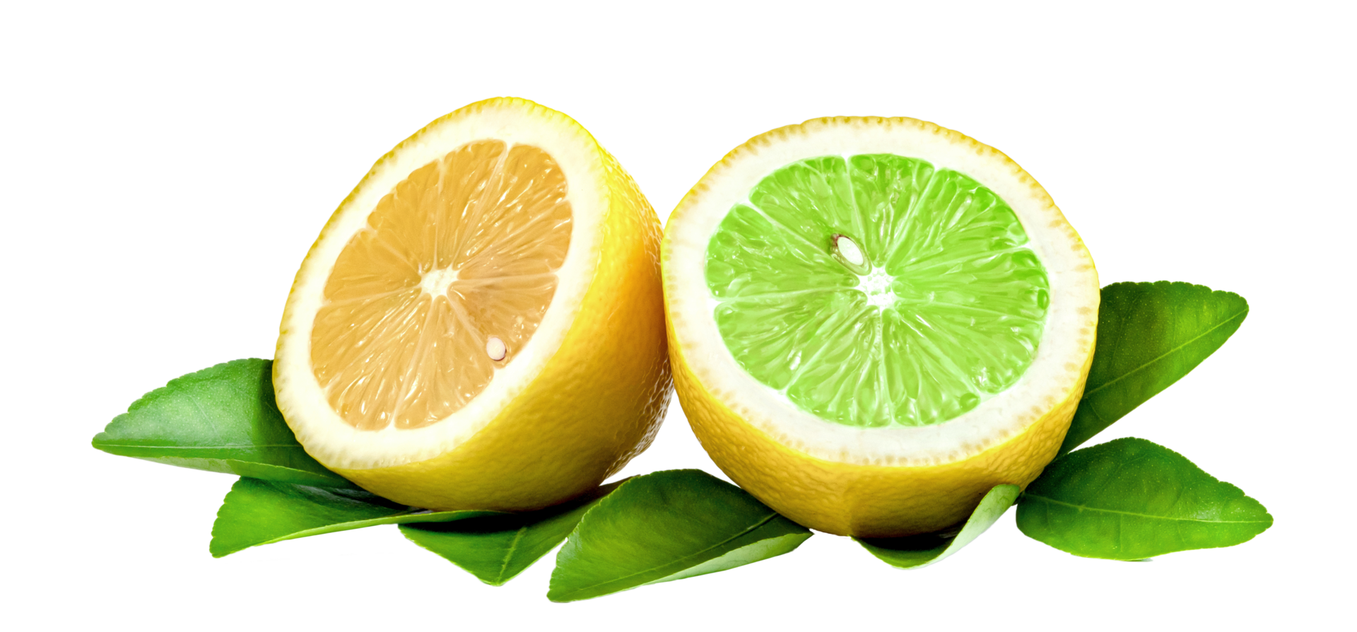 Lemon Sliced isolated png