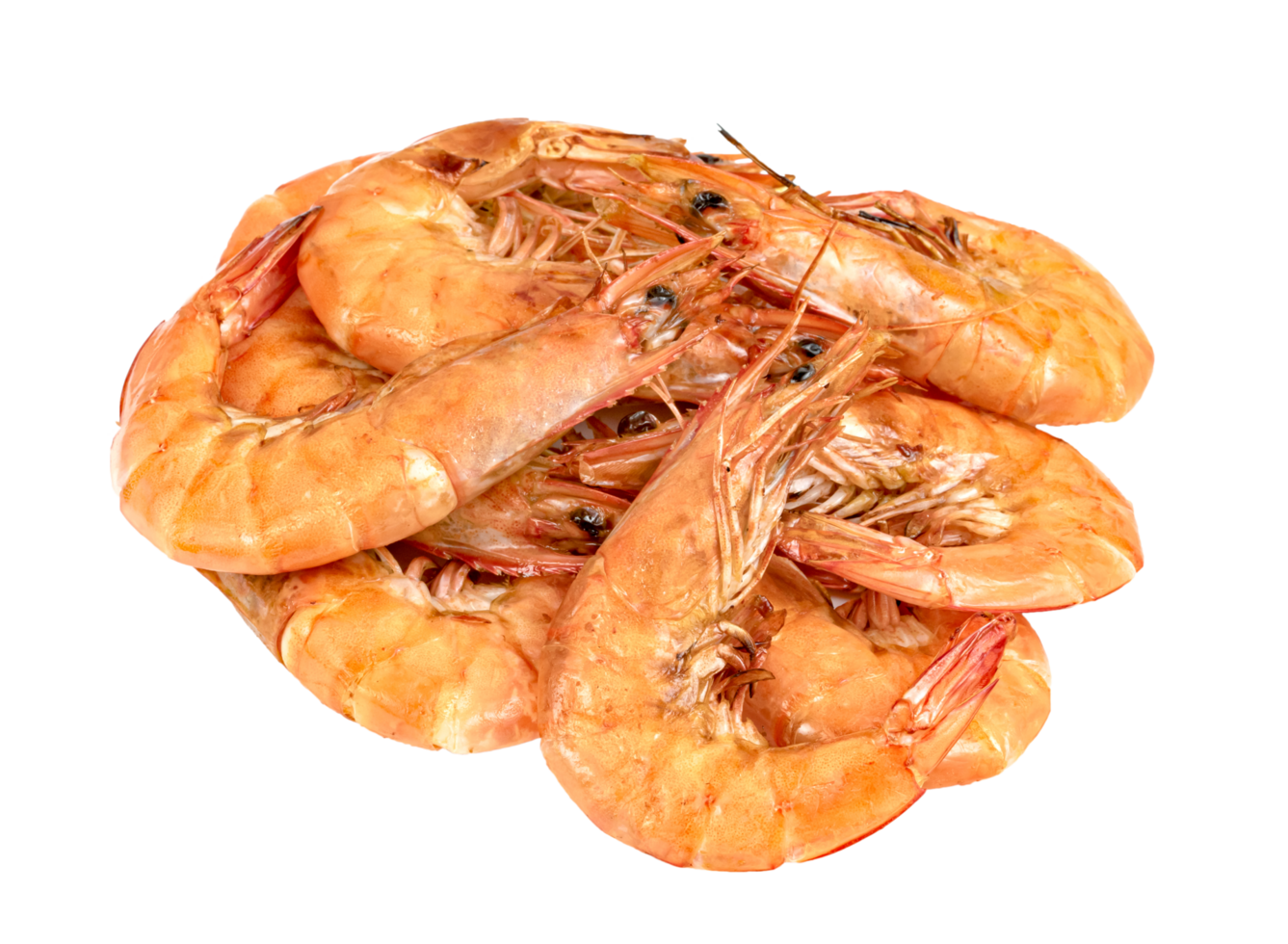 roasted prawn isolated. grilled shrimp png