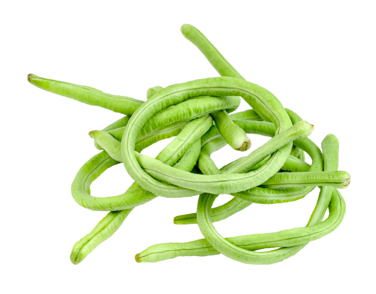 Long bean or cowpea isolated png