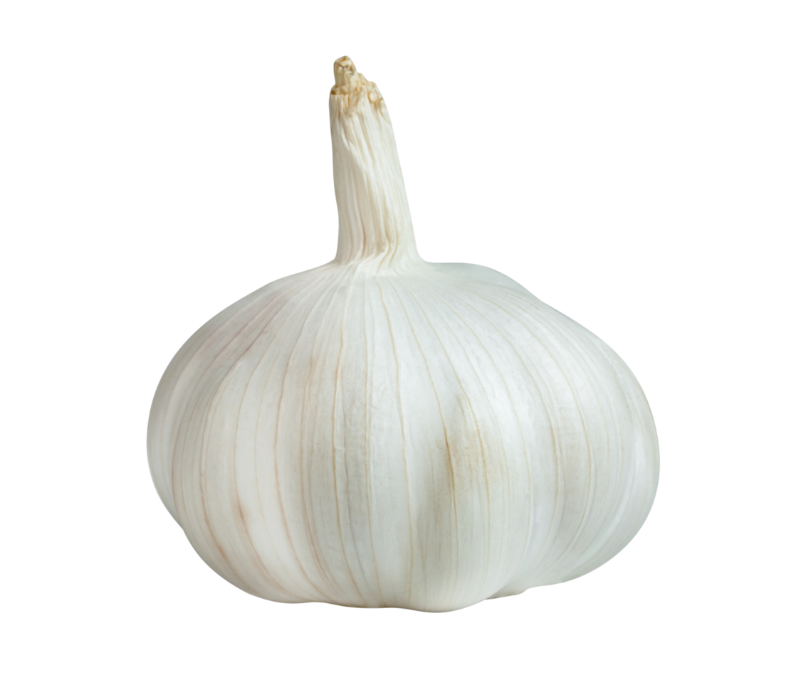 white garlic isolated png
