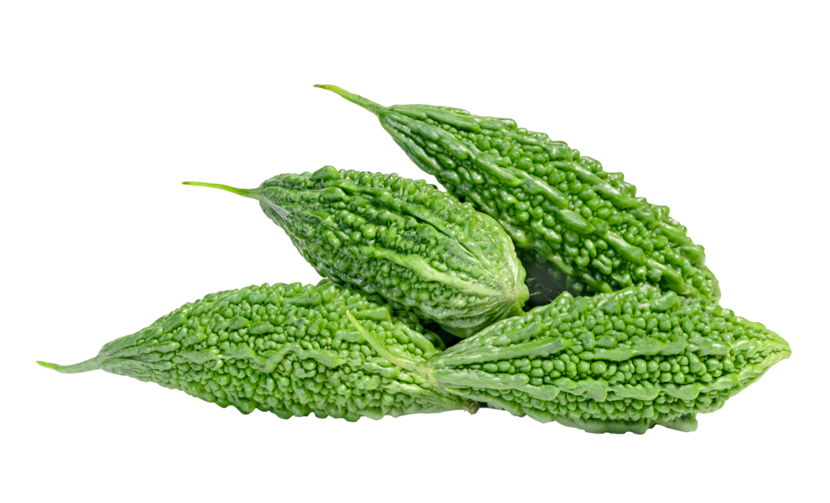 Bitter gourd or Bitter melon or Momordica charantia isolated png