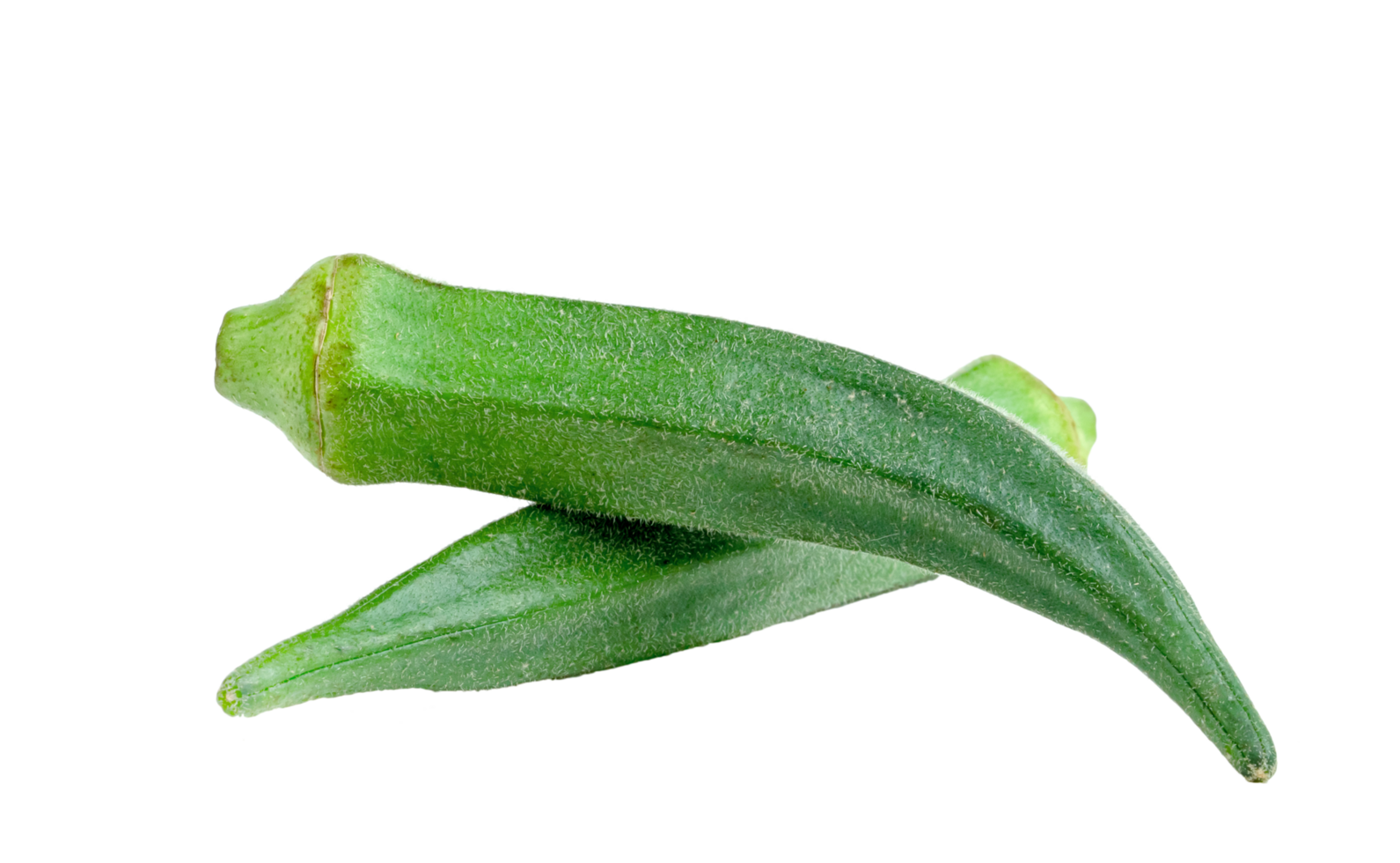 fresh okra isolated png