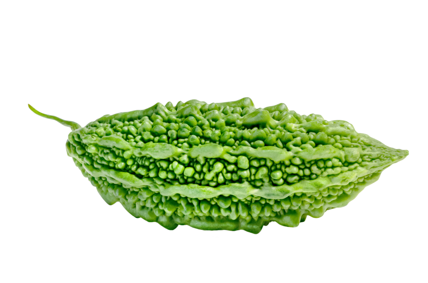 Bitter gourd or Bitter melon or Momordica charantia isolated png