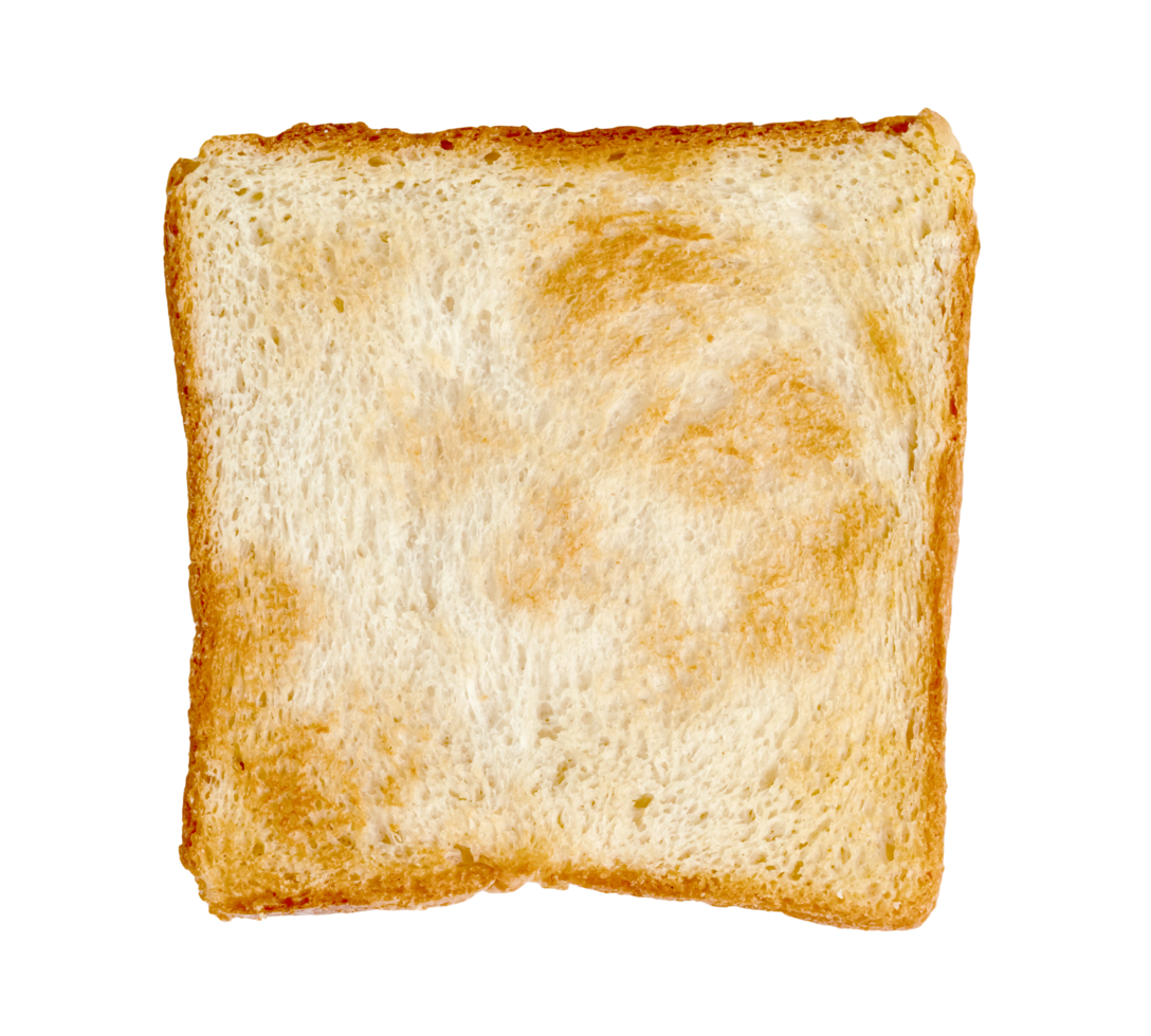 Toasted slice bread isolated png