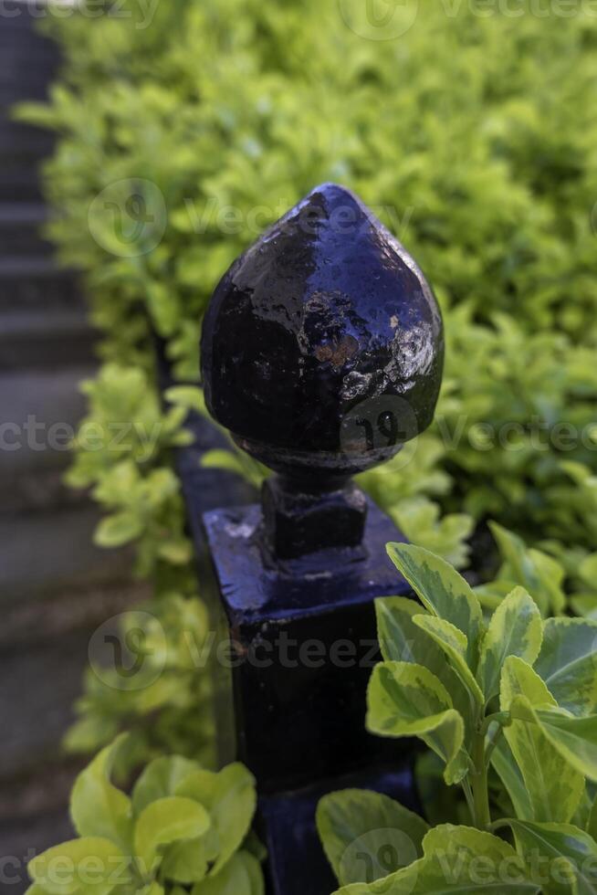 Railing with green hedges photo