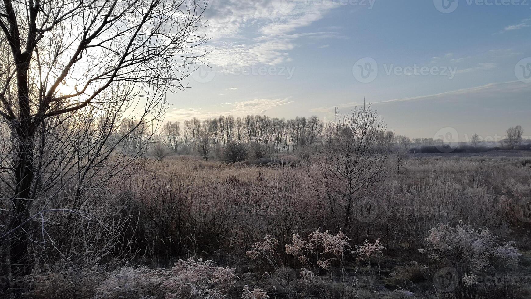 Autumn morning. Frosty autumn morning. Sun in autumn landscape photo