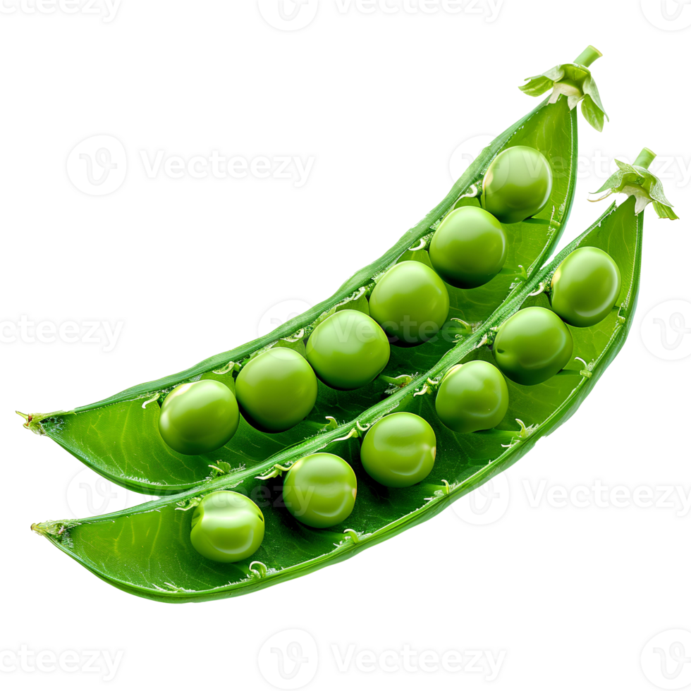 AI generated green peas in pod PNG. Green peas isolated. Peas in pod top view. Peas in pod flat lay png