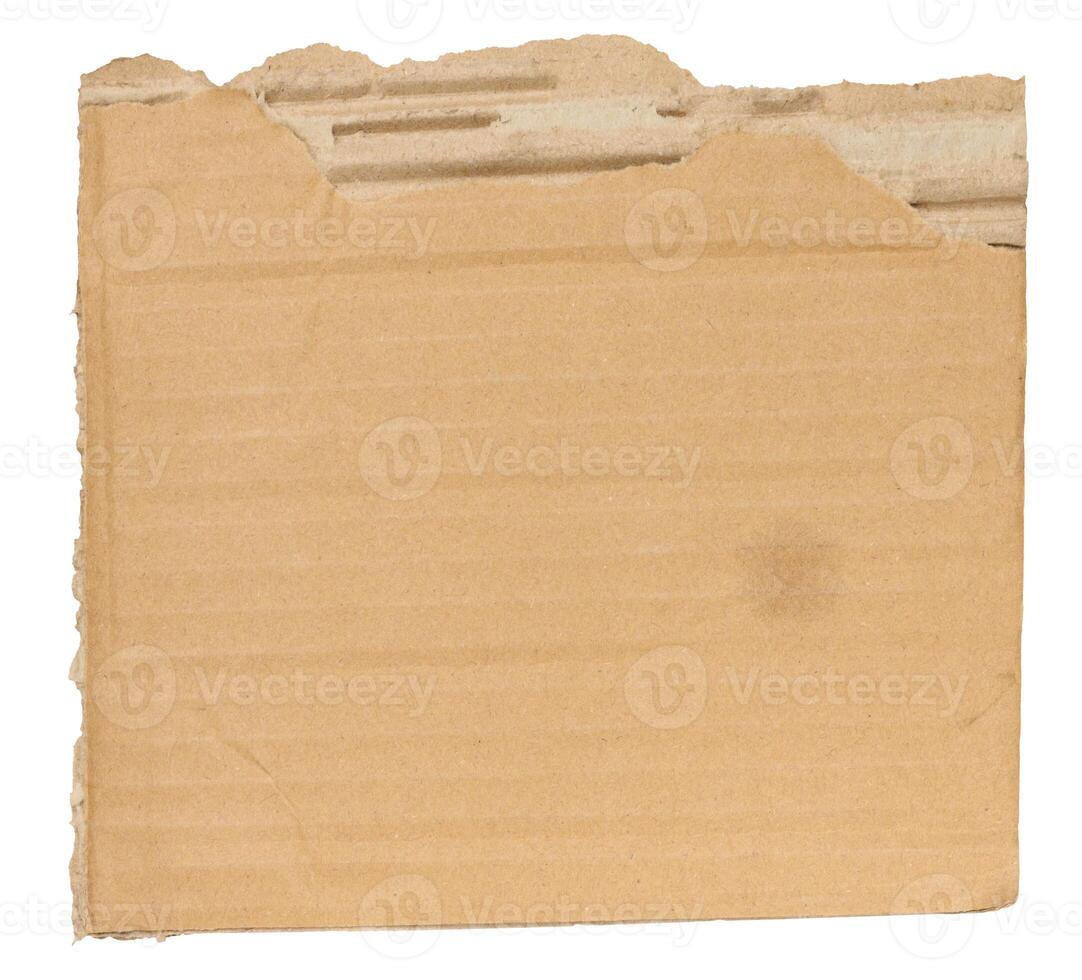 Piece of brown cardboard with torn edges on isolated background photo