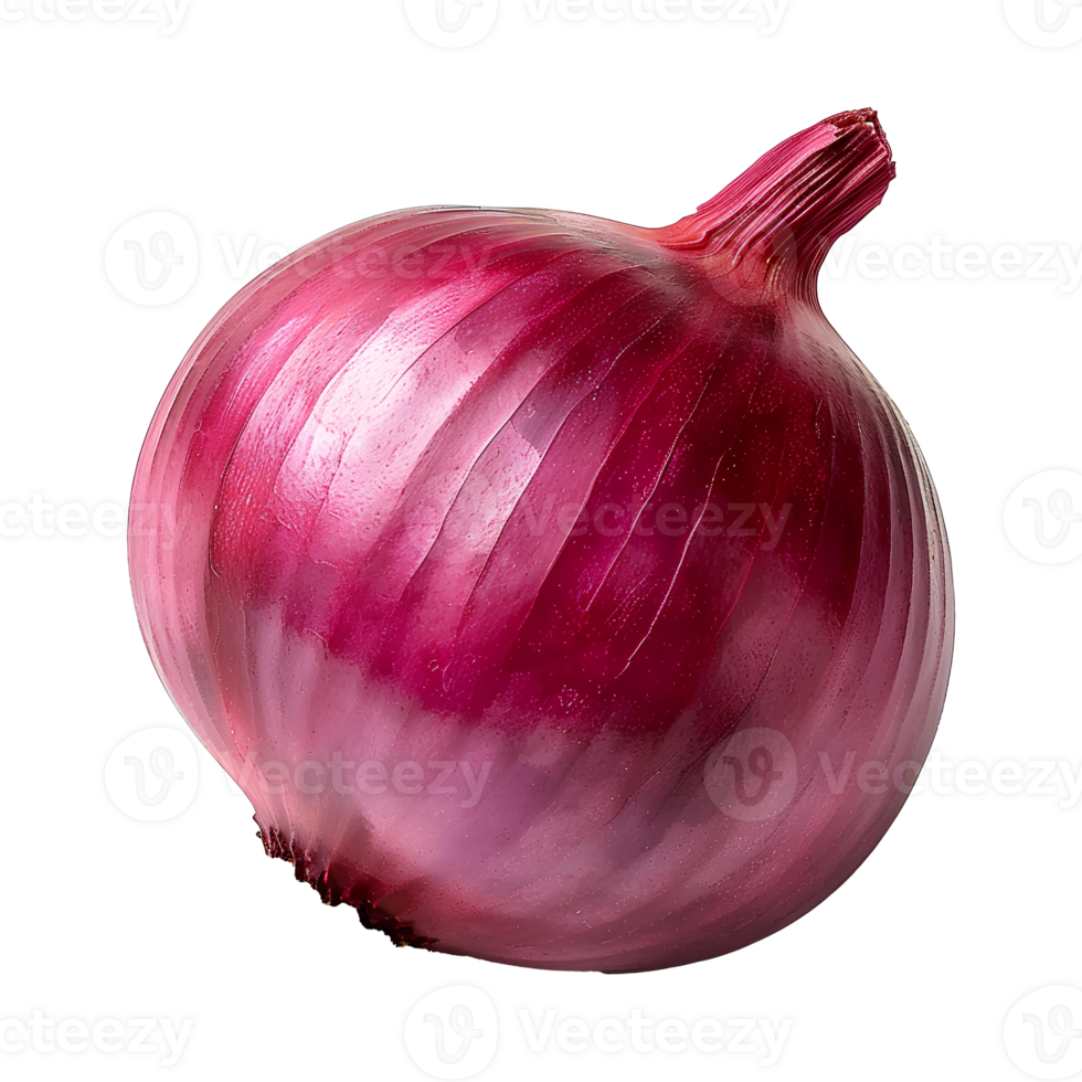 AI generated Red onion PNG. Onion slices isolated. Red onion top view PNG. Onion vegetable flat lay PNG. Organic vegetable png