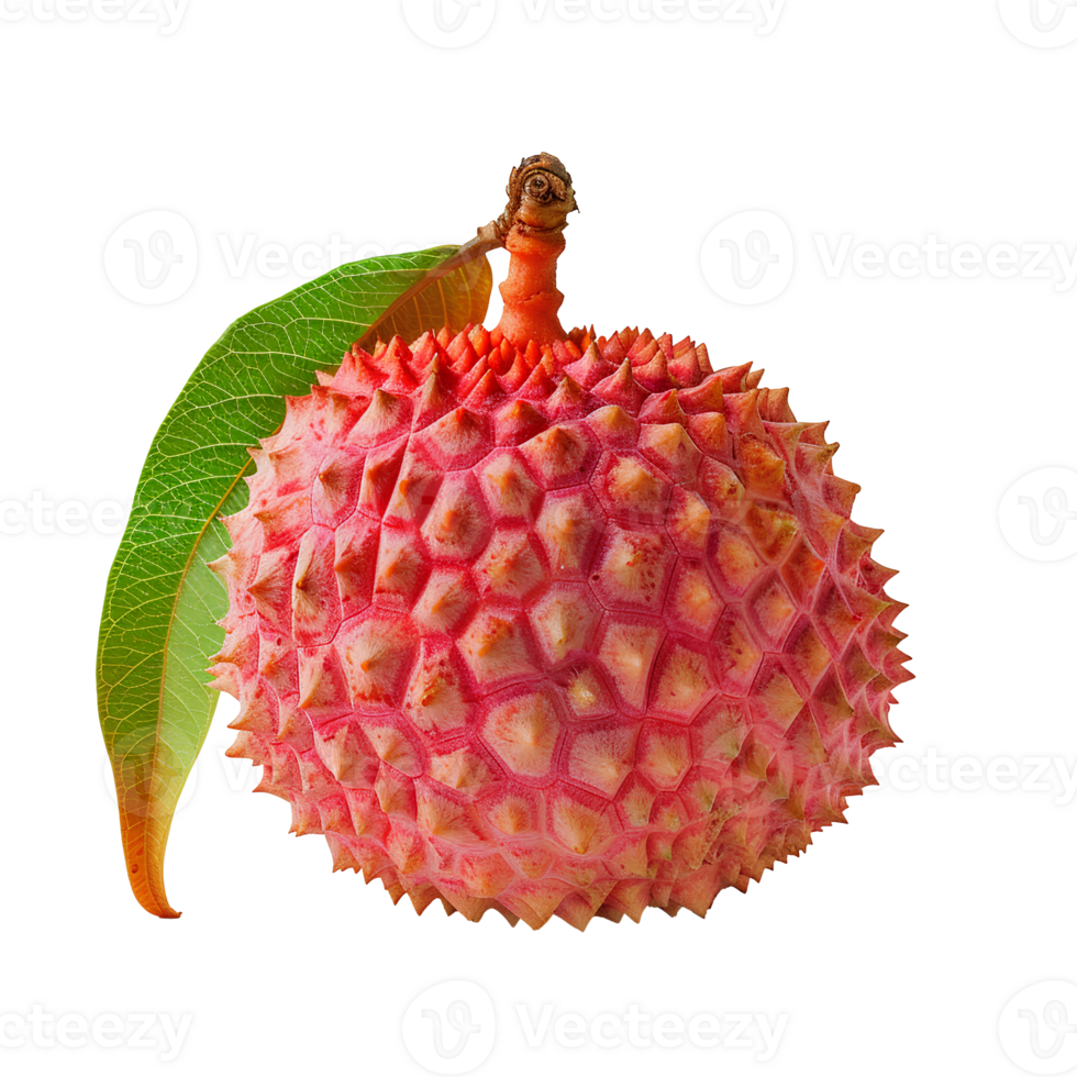 AI generated Lychee fruit PNG. Lychee top view PNG. Lychee flat lay isolated. Exotic fruit lychee isolated png