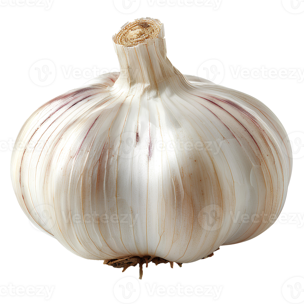 AI generated Garlic PNG. Clove of garlic isolated. Garlic top view PNG. Garlic flat lay PNG Flavourful garlic herb for food preparations