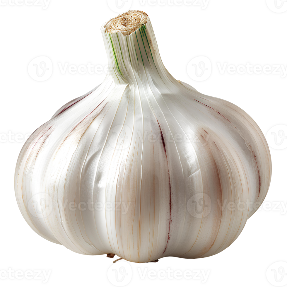 AI generated Garlic PNG. Clove of garlic isolated. Garlic top view PNG. Garlic flat lay PNG Flavourful garlic herb for food preparations