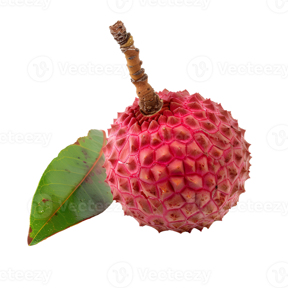 AI generated Lychee fruit PNG. Lychee top view PNG. Lychee flat lay isolated. Exotic fruit lychee isolated png