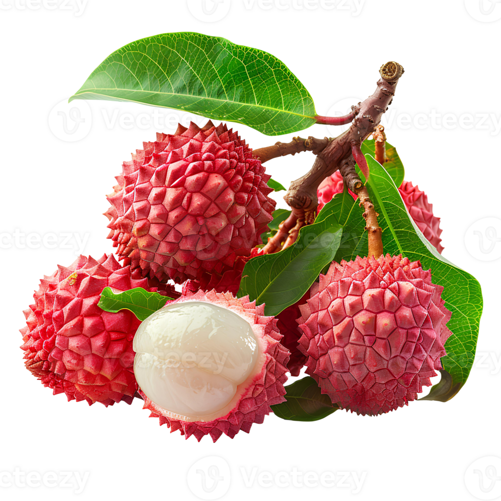 AI generated Lychee fruit PNG. Lychee top view PNG. Lychee flat lay isolated. Exotic fruit lychee isolated png